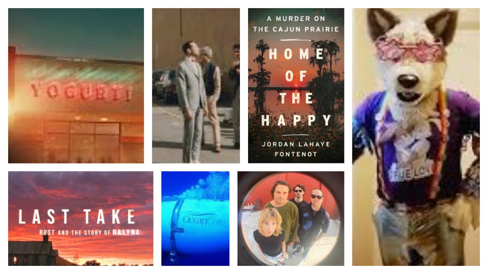 The true crime properties that deserved way more attention in 2025