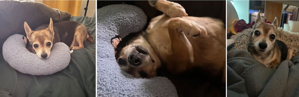 Bean being Bean
