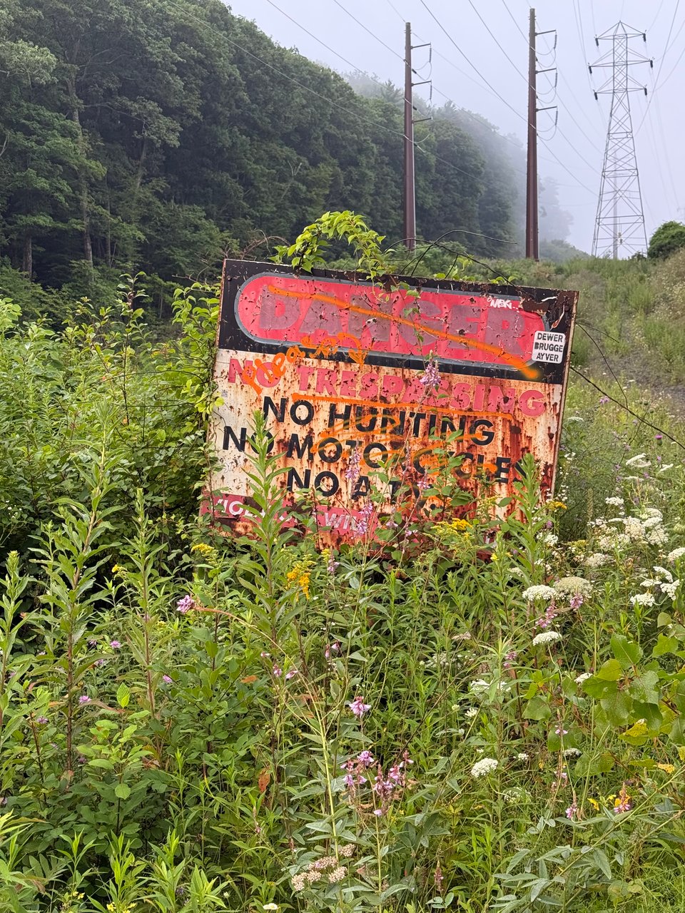 photo of rusted- and painted-over sign that reads, "DANGER NO TRESPASSING NO HUNTING NO MOTORCYLCES NO ATVS," surrounded by wildflowers in a clearing below power lines