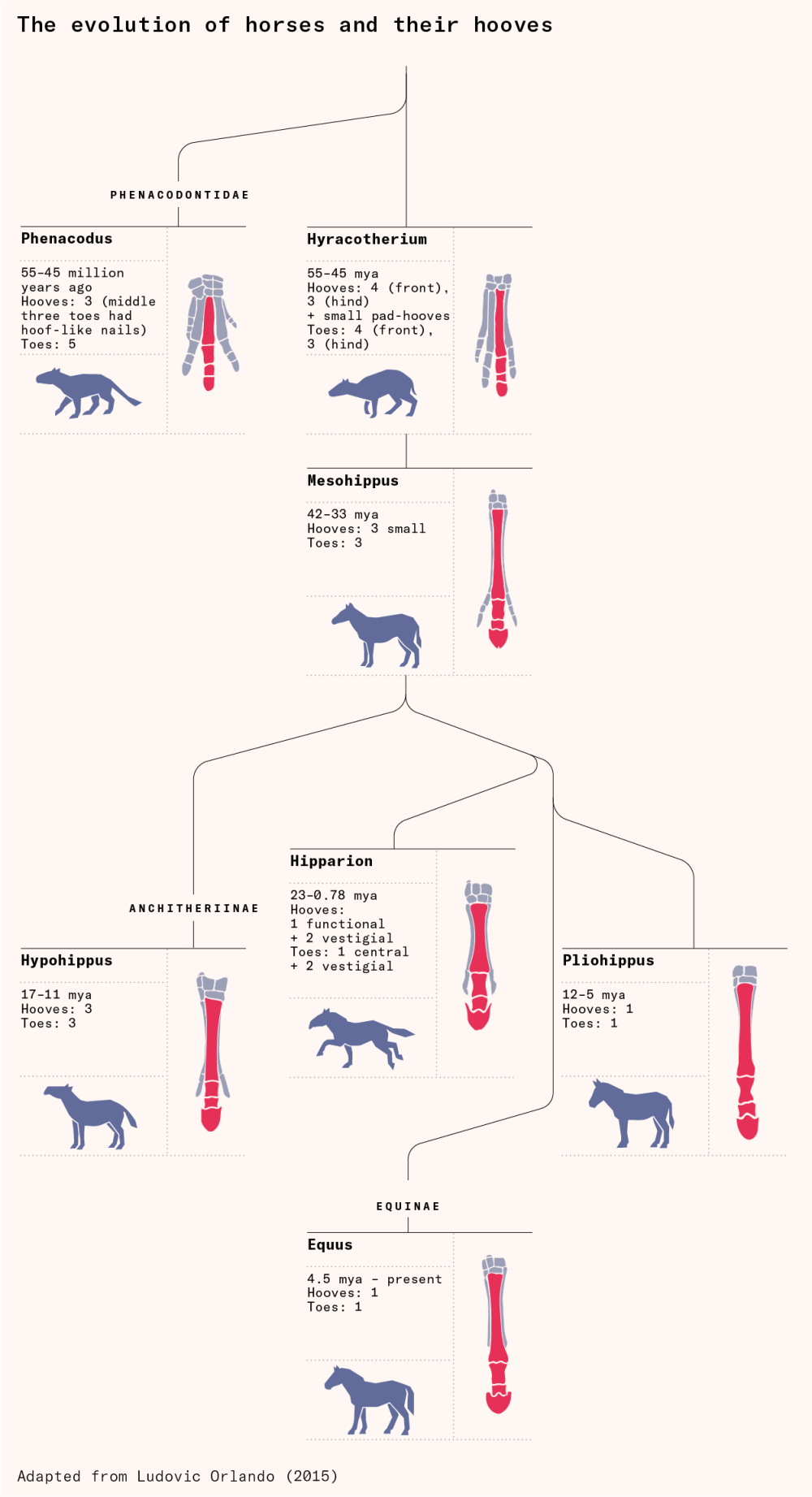 The_upper_limits_of_biology_017f6a7d_5_chosen.png