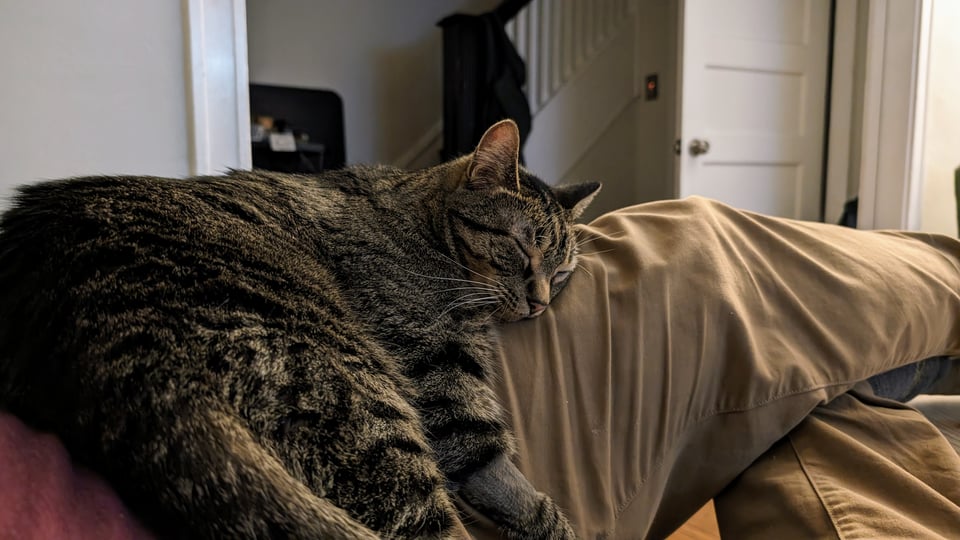 pokemon drag casserole