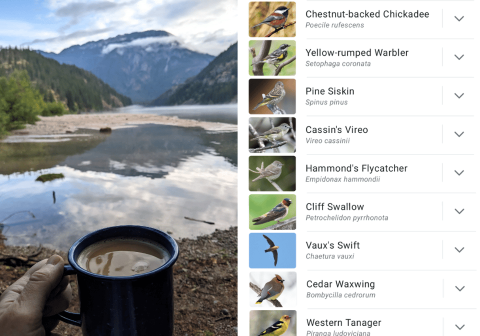 Two side-by-side images. On the left is a photo with a hand holding a cup of coffee close to the camera and a gorgeous backdrop of a lake, trees, and mountains. On the right is a list of bird species with small photos of each, including Chestnut-backed Chickadee, Cassin's Vireo, and Western Tanager.