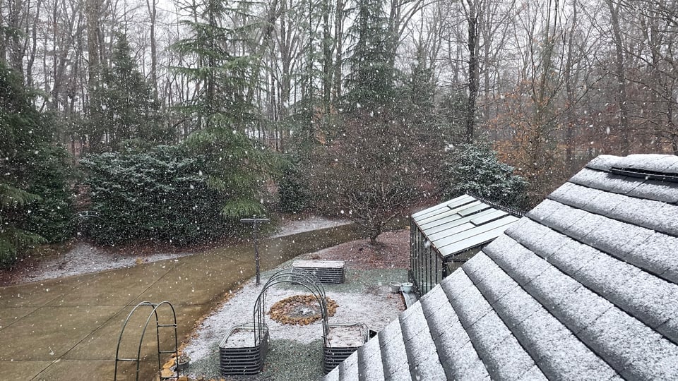 Good Morning. Hello. How are you? #1654