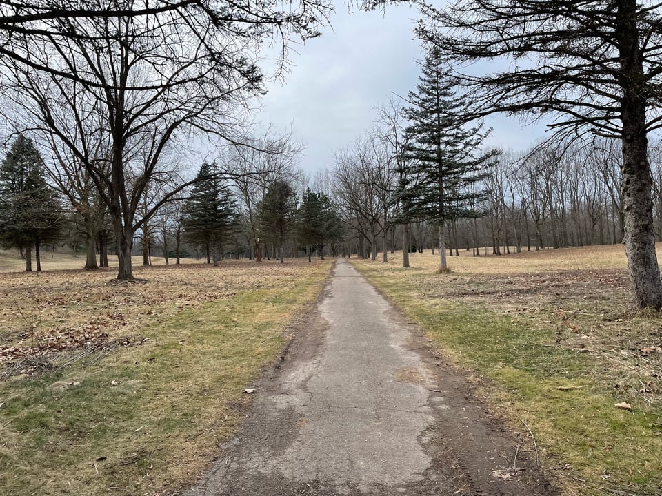A flat, paved pathway through a field of mowed, dead grass. Various trees grow on either side of it.