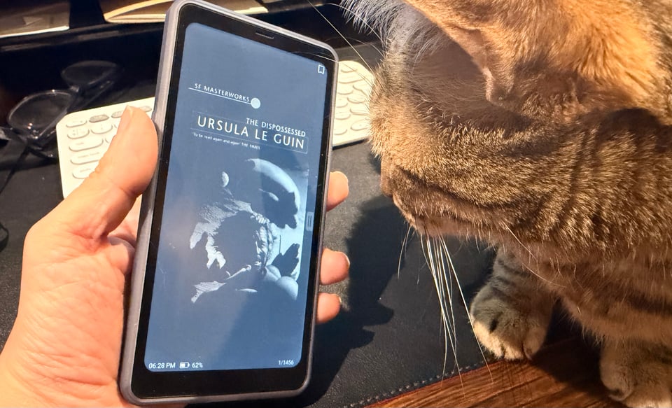 cat looking an ebook