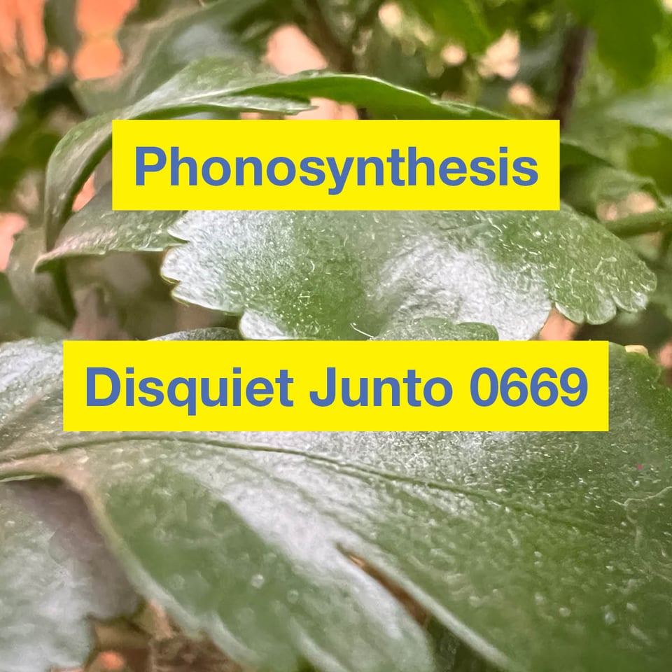 This is image shows bright green leaves of a plant behind the name of the project and the project number