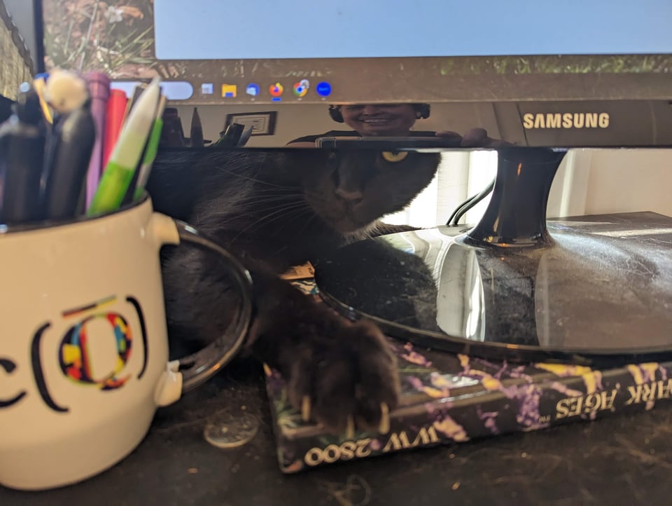 A cat reaching one paw from behind a monitor, with a mug reading Spec Q Bar and a Vampire: Dark Ages rpg book in the foreground