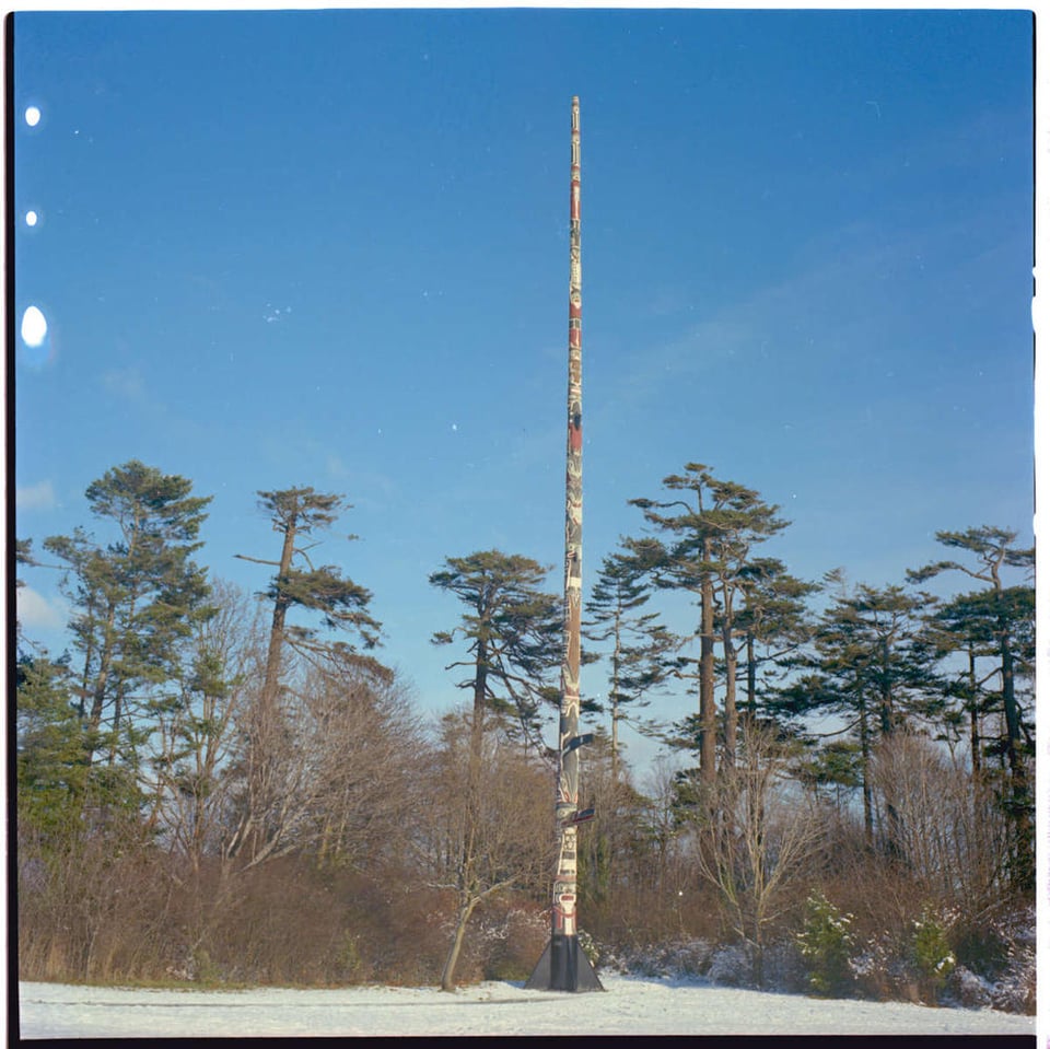 Colour photo of a totem pole. There is snow on the ground and trees behind the pole