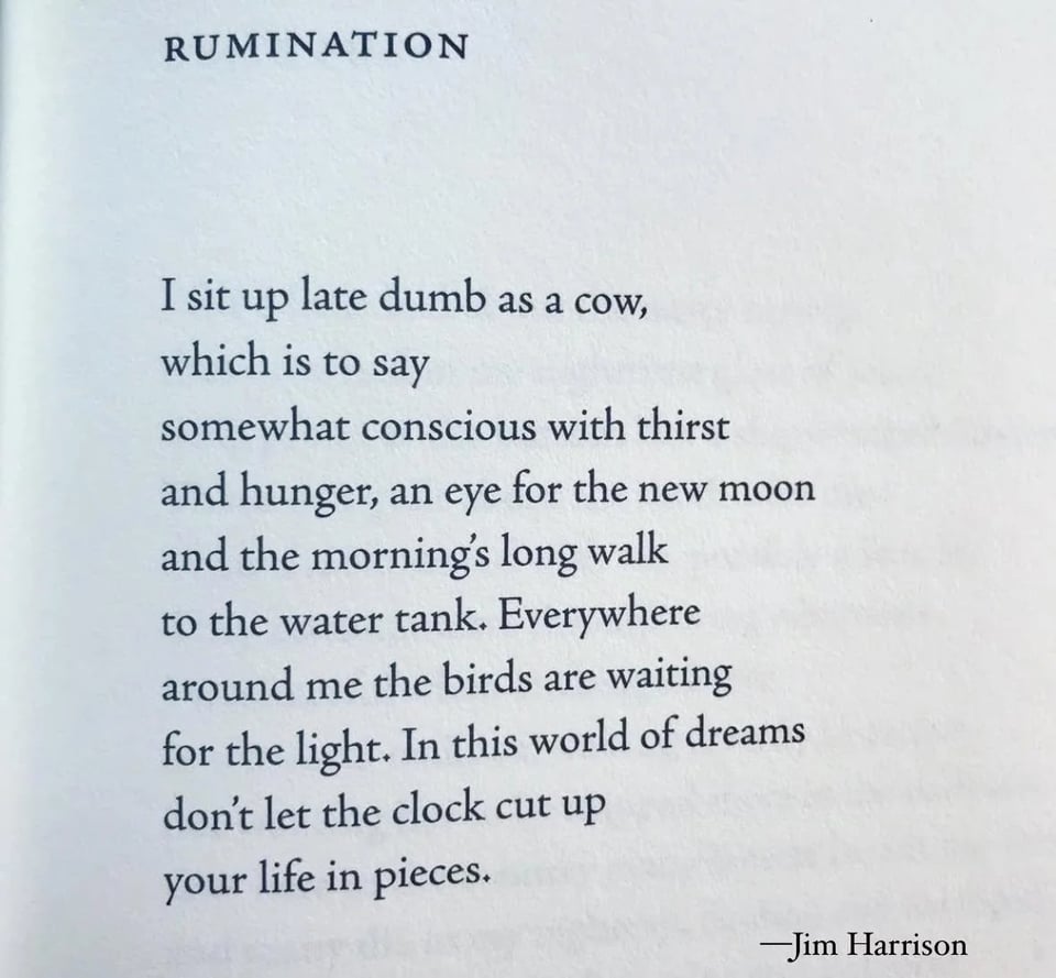 pic of poem Rumination by Jim Harrison