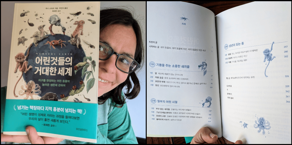 Left: A photo of Nursery Earth in Korean, with me holding it up and peeking out from behind it with a smile. It has the same beautiful cover art as the English version: a globe covered with cute, weird, glorious baby animals. Right: Photo of the table of contents of Nursery Earth in Korean, in which the words are creatively illuminated with several babies from the cover. A flamingo stands on one horizontal line, and a monkey hangs from another.