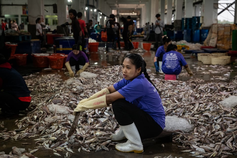 A Burmese dock worker crouches on the floor of a facility. She is wearing a purple t-shirt, black pants, white rubber gloves, and boots.