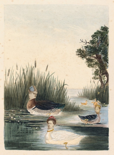 a watercolor photo collage of ducks with ladies heads pasted on