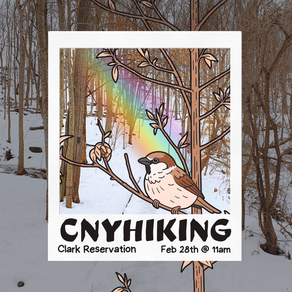 CNY Hiking Hike at Clark Reservation, February 28th at 11 AM.