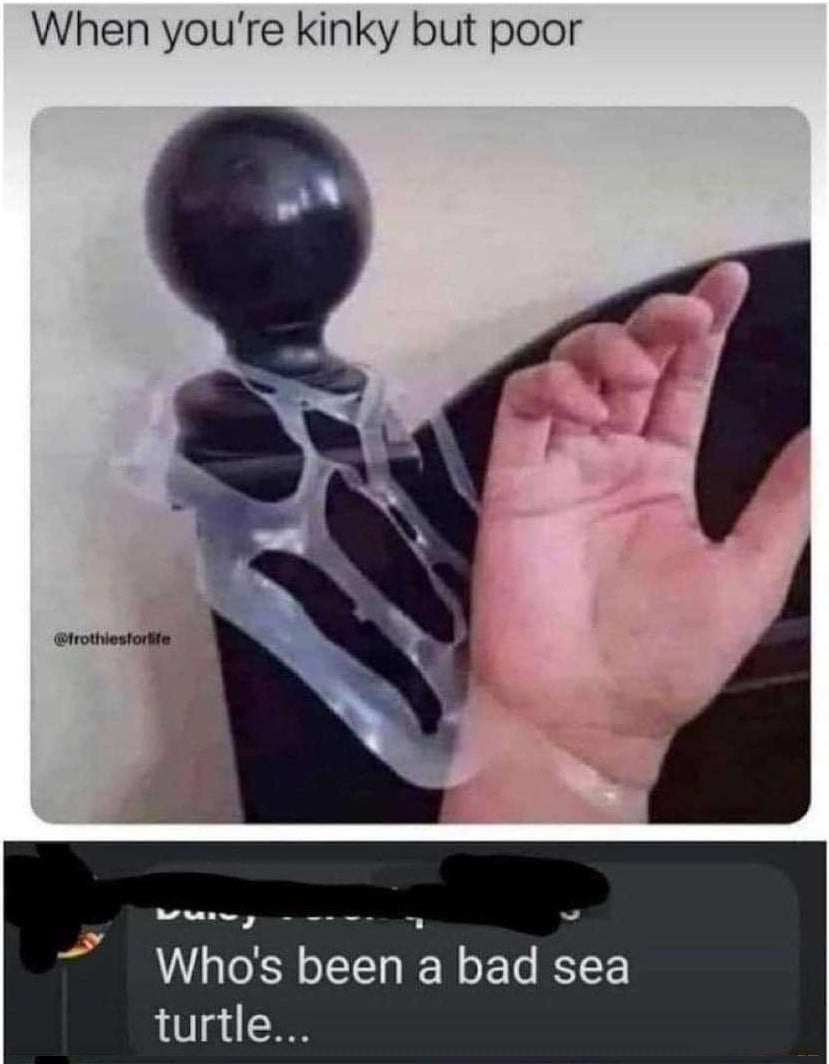 The text "when you're kinky but poor" above a hand tied up to a bed using plastic rings from a 6-pack of drinks - and a comment reply that reads: "who's been a bad sea turtle..."