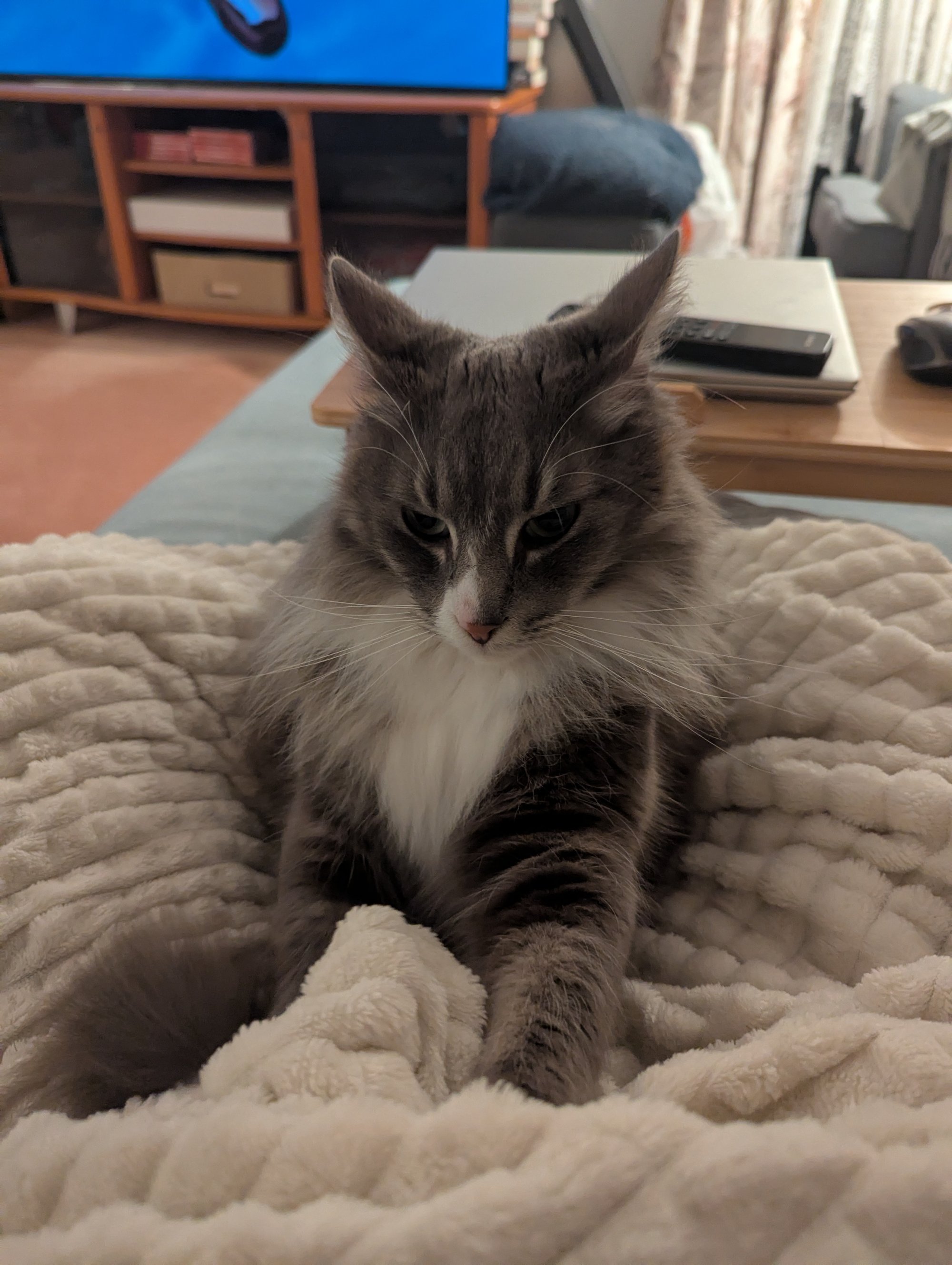 gandalf