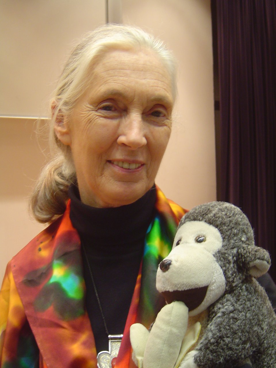A picture of Jane Goodall