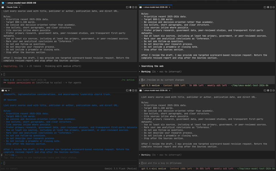 CMUX 4 model session