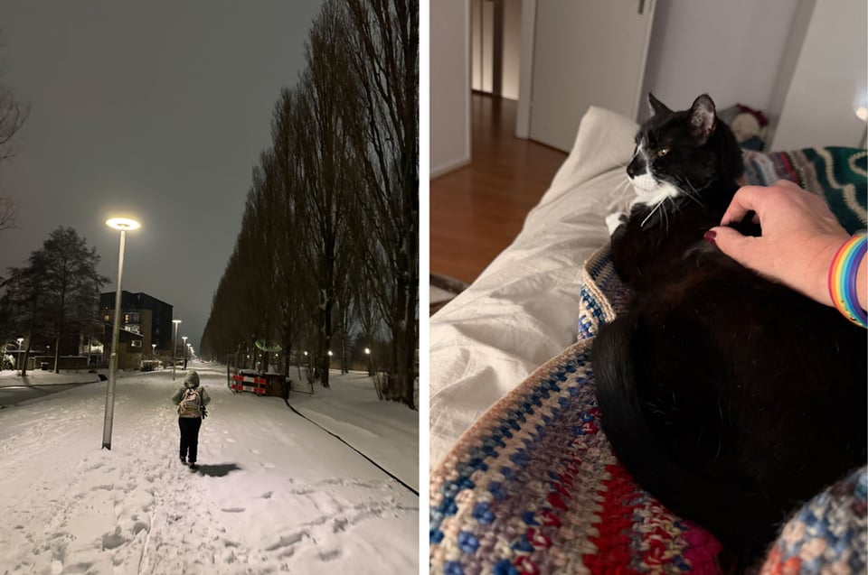 Two photos side by side. Left photo: a young boy walks in the snow at night. Left photo: a tuxedo cat is receiving skritches on a bed.
