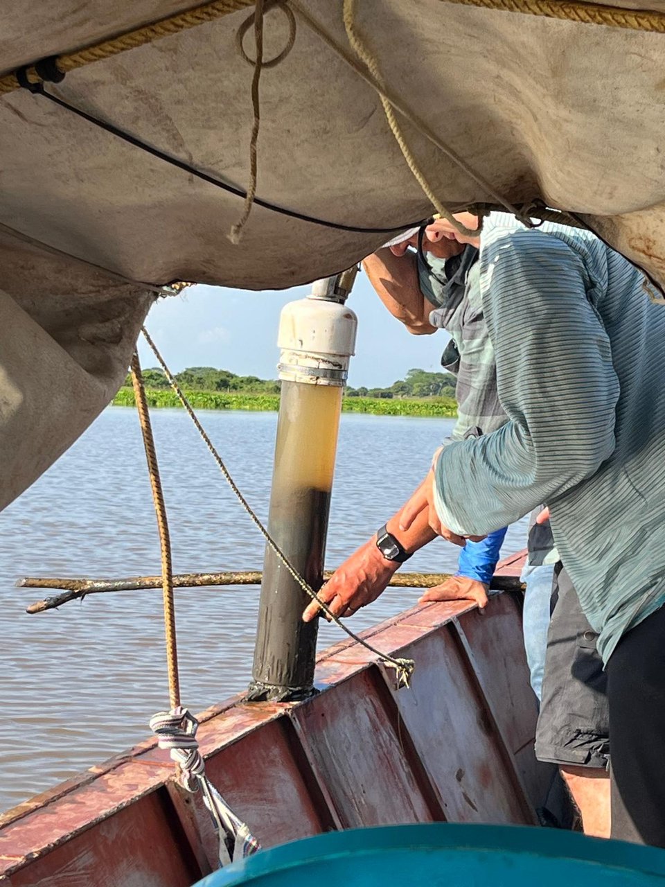 Photo of a sediment core in a transparent tube being handled above a boat, with wetland vegetation in the background.