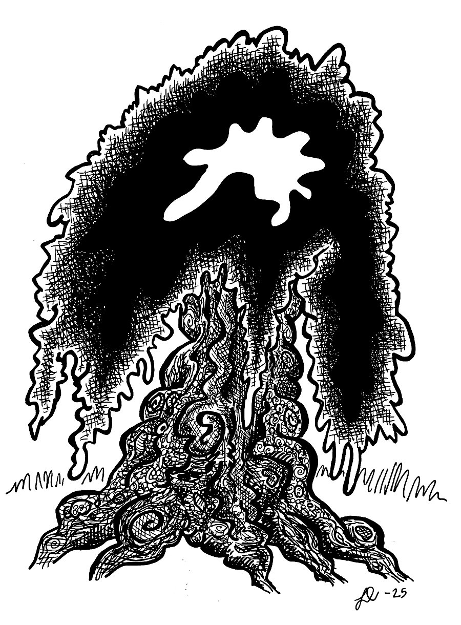 Black & white pen & ink drawing of a tree, looks kind of like a weepy willow, kind of stylized