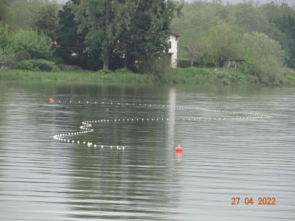 La pêche commerciale des poissons migrateurs viole la directive habitats depuis sa mise en place (1994).