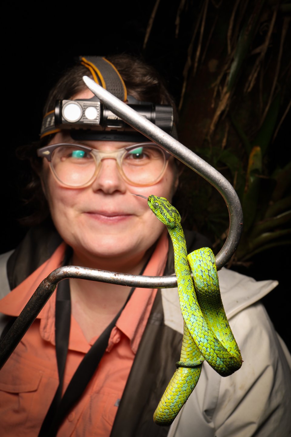 A green and turquoise snake curled around a metal hook in front of a woman wearing glasses and a headlamp