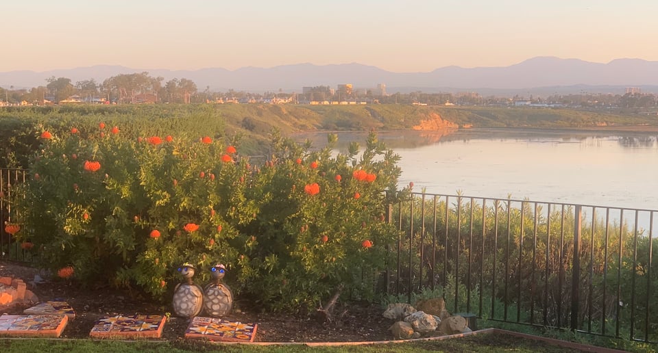 Dover Shores News - February