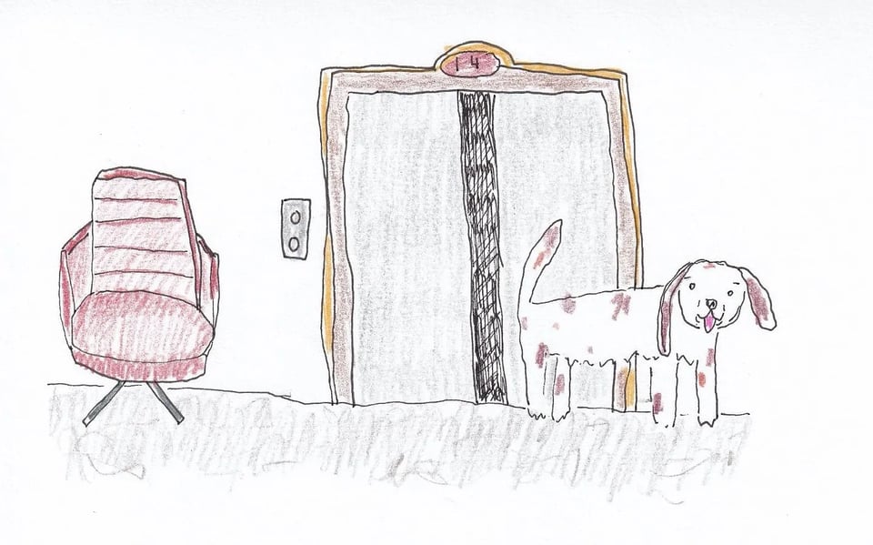 Rachael Pleet illustrates the Hotel Thermal.