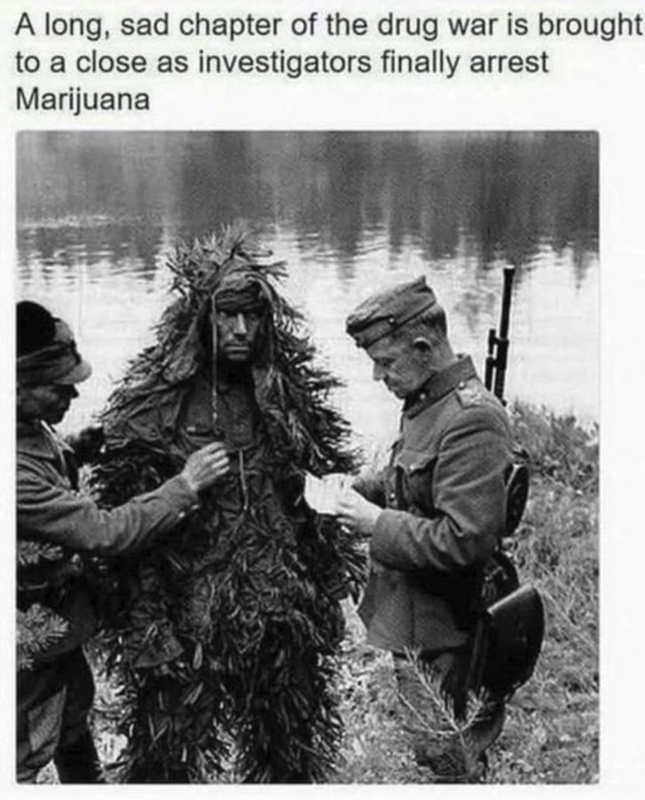 Text reads: "A long sad chapter of the drug war is brought to a close as investigators finally arrest Marijuana." Below is a black and white photo (WW2 era?) showing two soldiers checking the papers of a man dressed in a leafy ghillie suit.