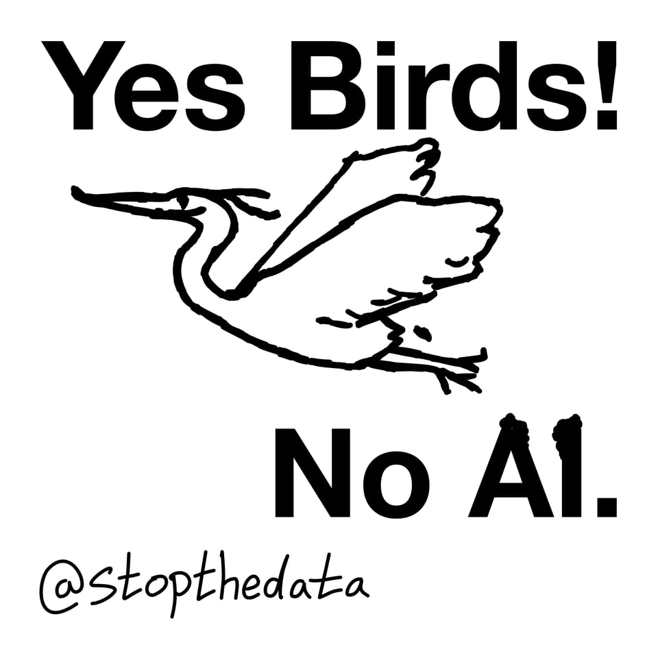 yes birds no ai