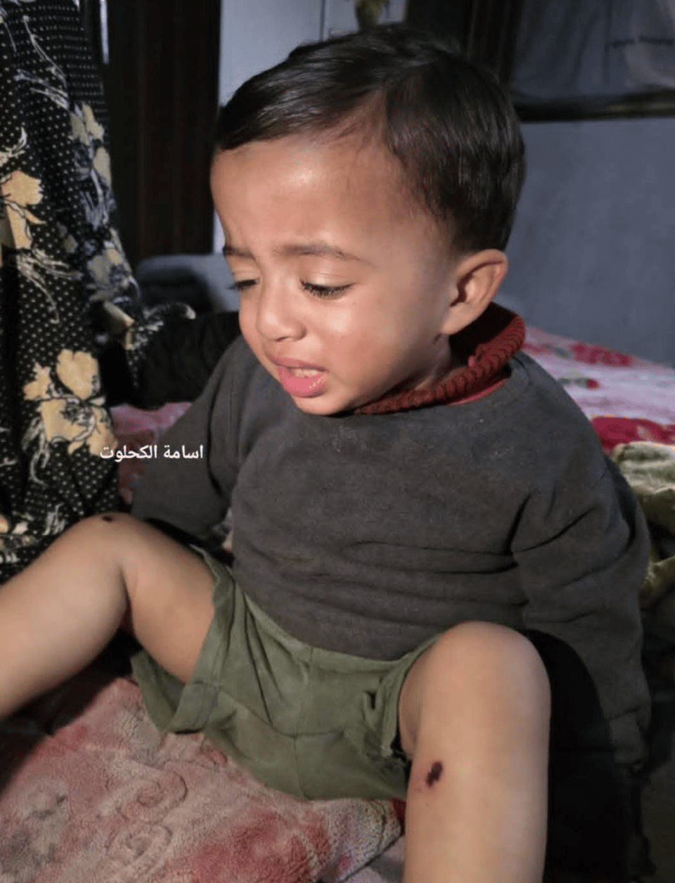 Media coverage / Why I was in Palestine 