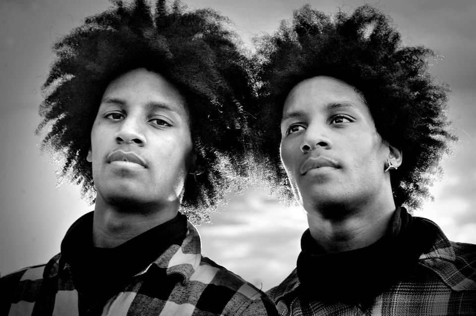 Image of two twins from Wikemedia