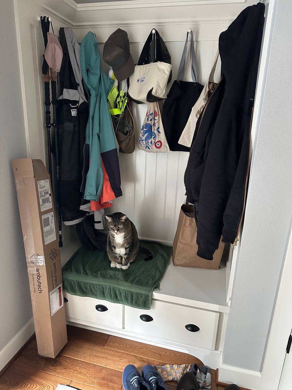A entry nook, recently organized. The hooks are full of canes, jackets, and bags. There's a bench with a towel on it catch drips from coats; there's a brown tabby sitting thoughtfully on the towel.