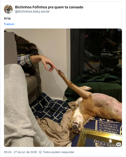 Post de Bichinhos Fofinhos pra quem ta cansado (@bichinhos.bsky.social): Arte
(Fotografia de cachorro caramelo dormindo deitado de barriga pra cima todo torto com uma pata pra cima e no sofá uma pessoa usando o computador e com o seu indicador tocando a patinha do cachorro tal qual o quadro A Criação de Adão)