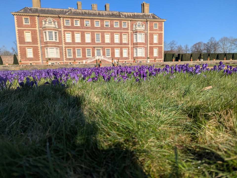 A photo of a large brick manor house, with purple crocuses on the foreground.