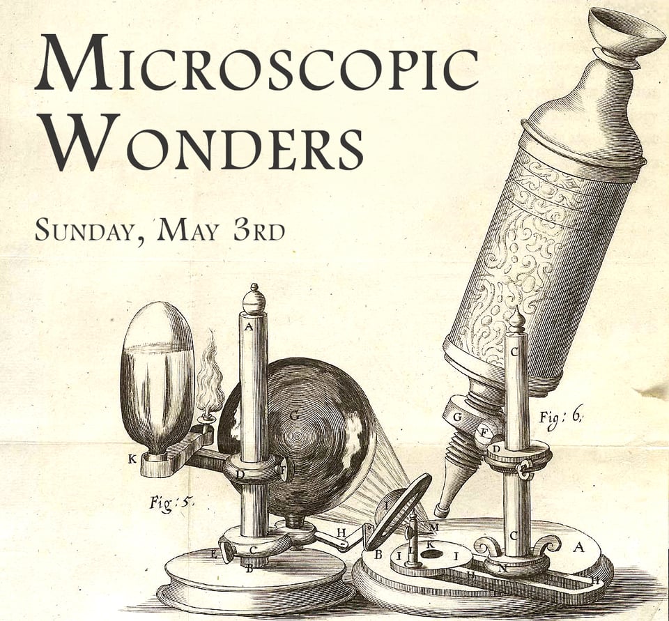 Microscopes & Flowers ~ ExGld