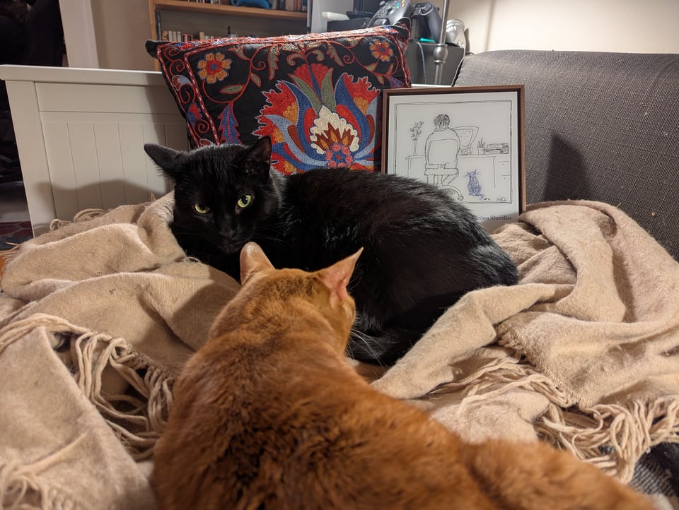 The scene from the previous picture is now improved by the addition of an orange tabby. The photo was taken just over his back, so he looms large.