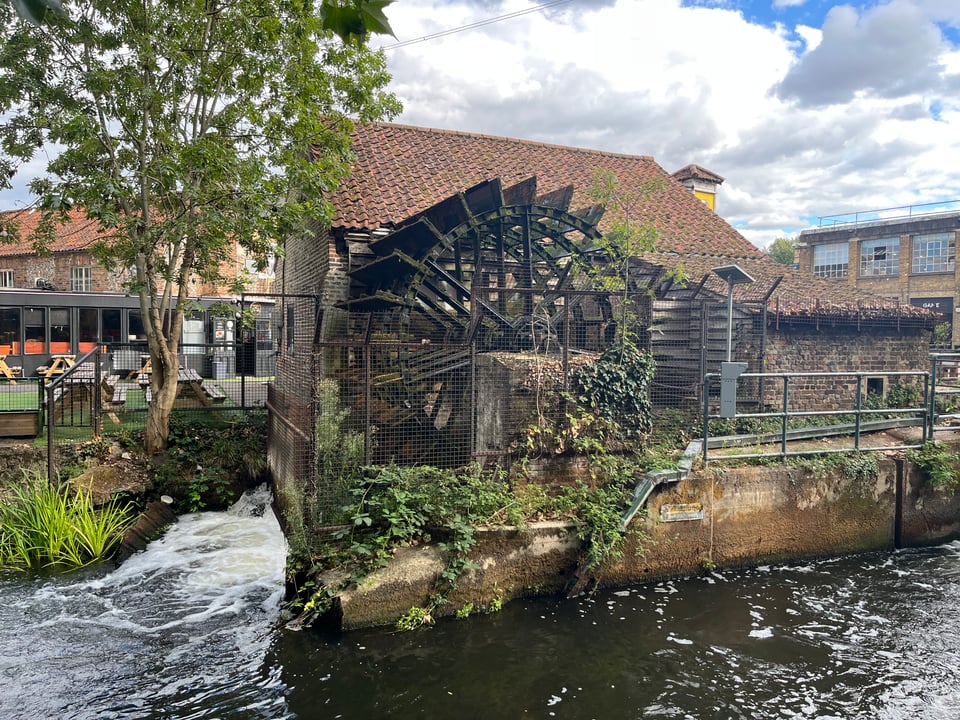 September 2026: Birds, books, and blocking