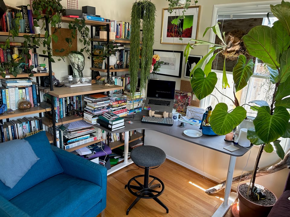 a slightly messy desk surrounded by books and plants