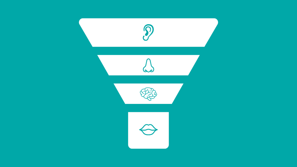 A graphic of a funnel. The funnel is divided into four segments. In the widest segment at the top is a graphic of an ear. In the next segment down is a graphic of a nose. In the next segment there is a graphic of a brain. And in the narrowest segment at the bottom there is a graphic of a mouth.