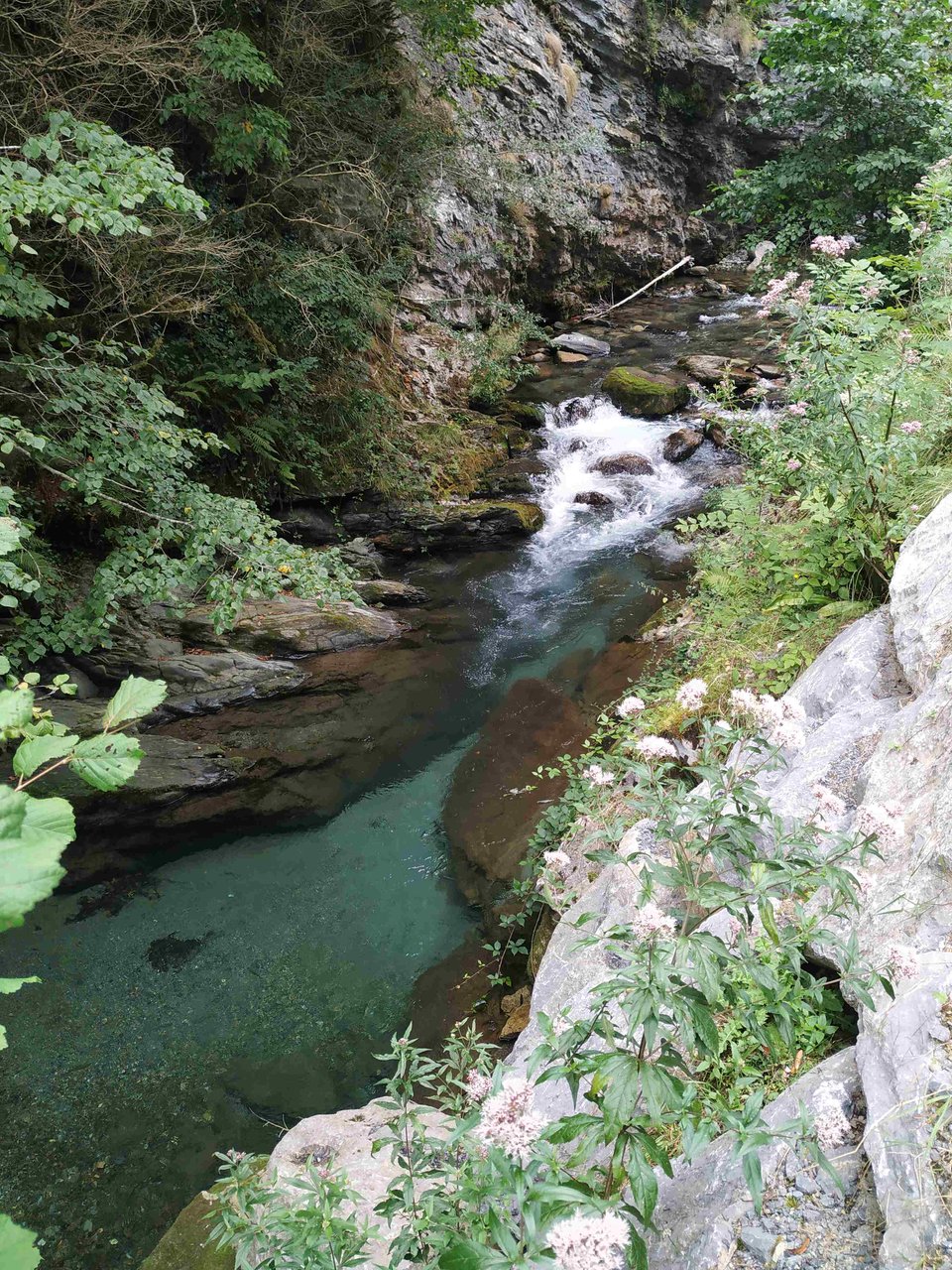 Gave du Gabaret en vallée d'Aspe (64) à la hauteur de Bedous.
