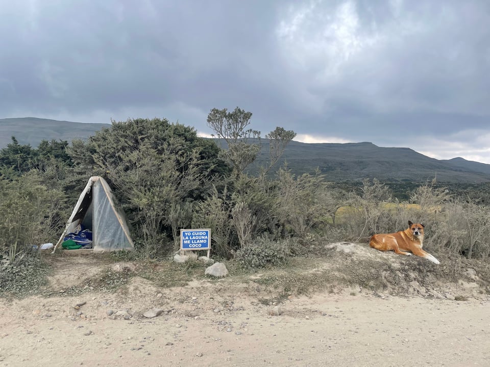 A brown dog is sitting on the side of the road, you can see huge mountains in the background. Nearby is a tent and a sign that says, in Spanish, "Yo cuido la laguna me llamo Coco."