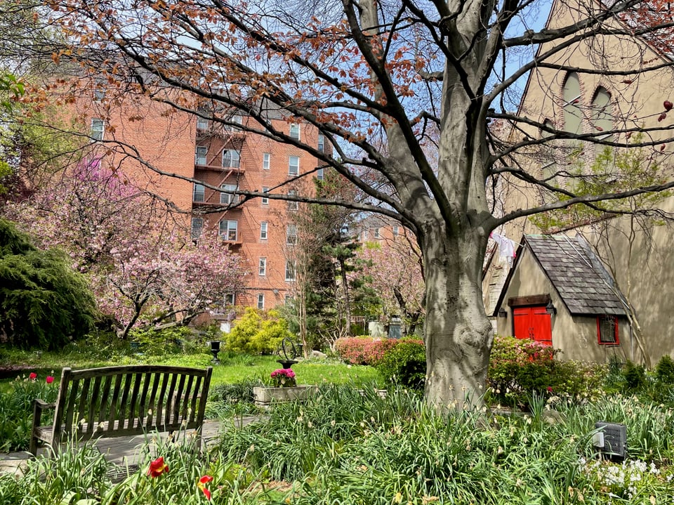 a church garden in Jackson Heights with a bench and large tree