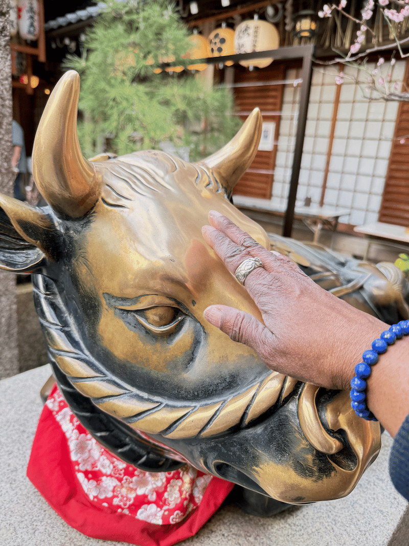 a statue of a bronze bull with a red kerchief around it's neck, with Terri's hand on its head, asking for luck in studies.