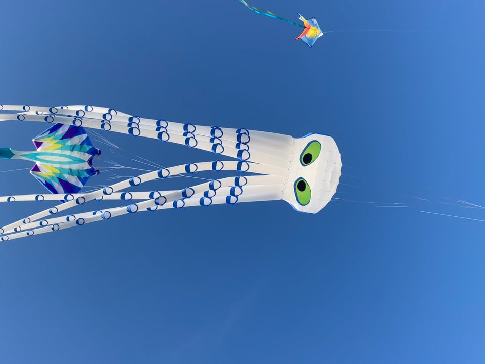 Kites in the blue sky. There is a big white octopus kite with green alient eyes, the arms are also white with blue circles indicating the 'suckers' (actual scientific name). There is another purple, yellow and teal trapezoidal kite that shows through the octopus' arms.
