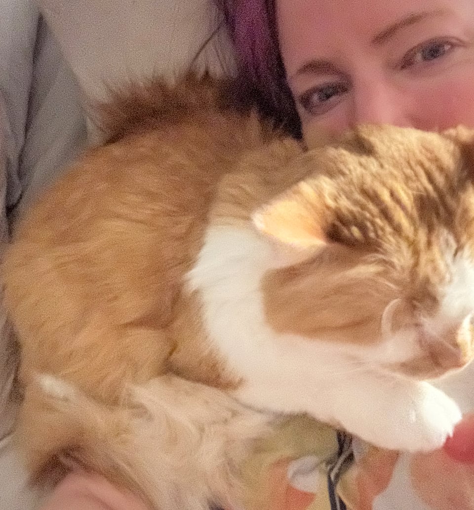 A fluffy orange and white cat lying down directly on the author's windpipe