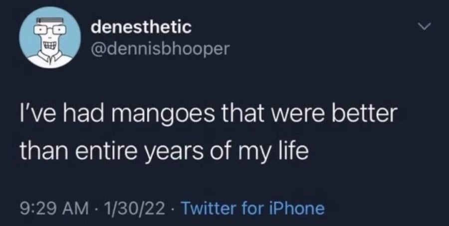 @dennisbhooper on twitter: I've had mangoes that were better than entire years of my life
