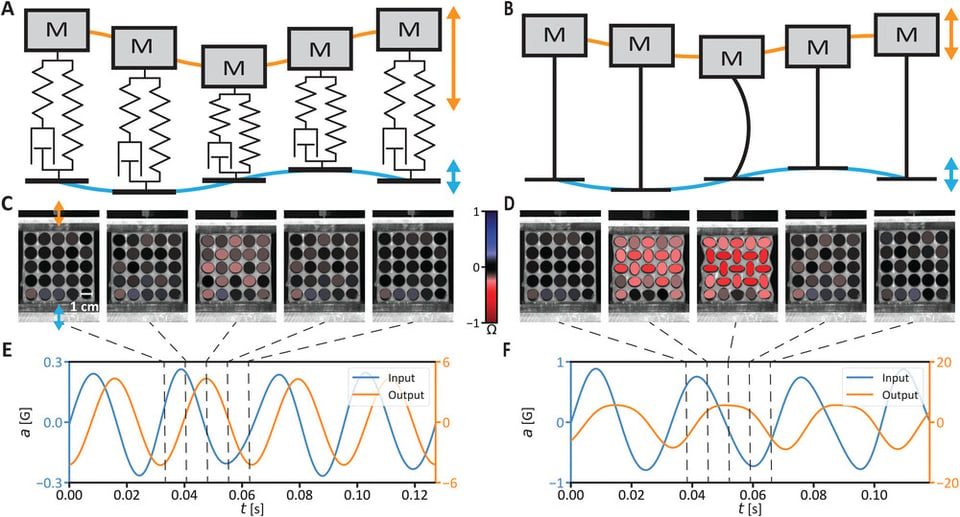 Damping vibrations with buckling. A) A mass (M) spring damper system, with base excitation (blue) can show a large amplified response (orange) around resonance. B) When the spring is a slender beam, which can buckle when subjected to a sufficient compressive load from the base excitation, the amplified response may be lower. C,D) The deformation of a holar sample with mass mounted on top when subjected to a base excitation from the bottom around the eigenfrequency. C) Base excitation acceleration of 0.26G at 33.8 Hz; D) cbase excitation acceleration of 0.89G at 33.0 Hz. The ellipticity of the holes, Ω, is tracked with red and blue ellipses (see “Image Analysis” in the Experimental Section, color bar). E,F) Base excitations (blue) of 0.26G (E) and 0.89G (F) induce output accelerations (orange) of 4.3G (E) and 5.7G (F), respectively.