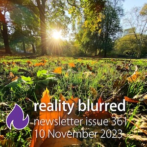 Fall leaves in grass, illuminated by a rising sun, with the words 'reality blurred newsletter issue 361, 10 November 2023'