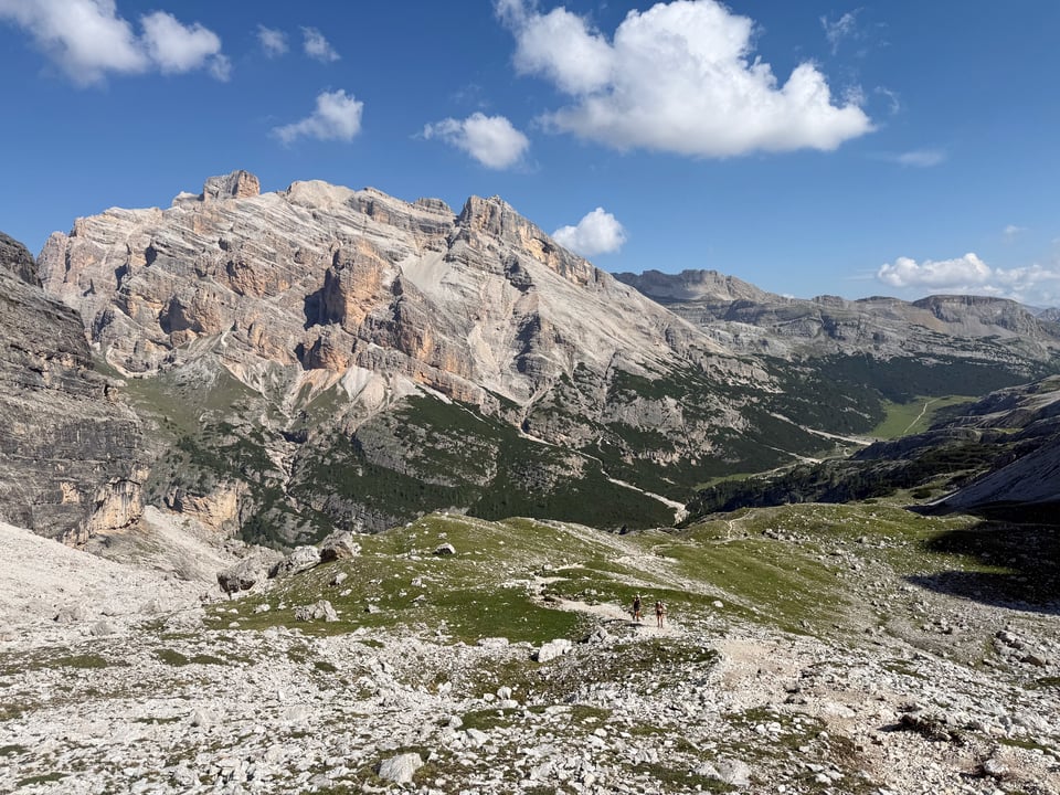 view of winding trail